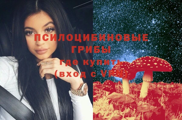 spice Богданович