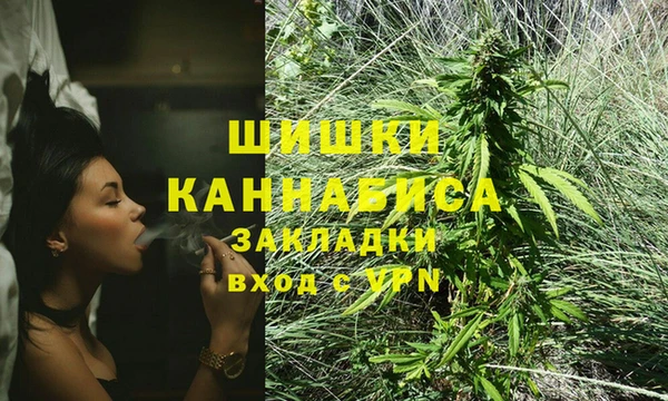 кокс Белокуриха