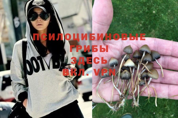 наркотики Богородицк