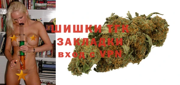 хмурый Богородск