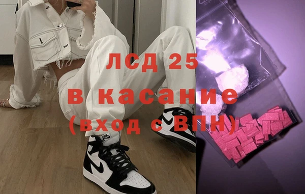 spice Богданович