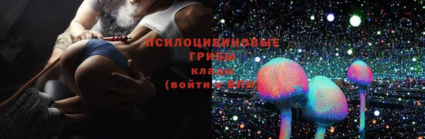 spice Богданович