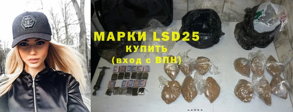 spice Богданович