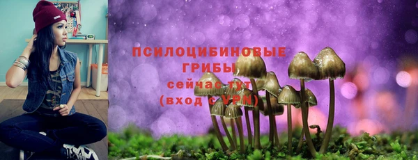 spice Богданович